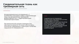 Слайд 3