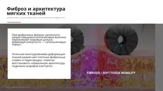 Слайд 8